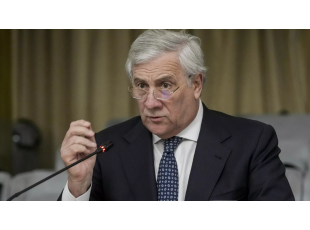 Глава МИД Италии опозорился в парламенте из-за Ирана